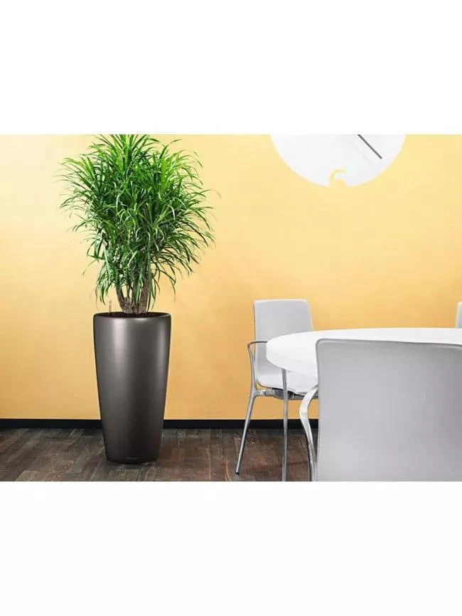 Lechuza® Rondo Self-Watering Planters 5 Lechuza® Rondo Self-Watering Planters - Image 3