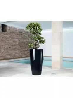 Lechuza® Rondo Self-Watering Planters 7 Lechuza® Rondo Self-Watering Planters -Outdoor Garden Store 8594586 04V tif