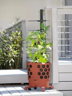 Gardener's Revolution® Tomato Planter -Outdoor Garden Store 8594743 2618 tif