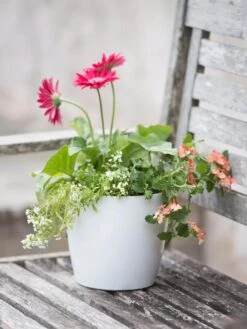 Viva Round Self-Watering Planter, 7" Diameter -Outdoor Garden Store 8595222 1139 tif