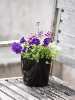 Viva Round Self-Watering Planter, 7" Diameter -Outdoor Garden Store 8595222 1140 tif