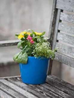 Viva Round Self-Watering Planter, 7" Diameter -Outdoor Garden Store 8595222 1143 tif