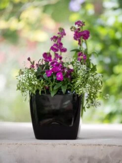 Viva Square Self-Watering Planter, 7" Diameter -Outdoor Garden Store 8595223 1107 tif