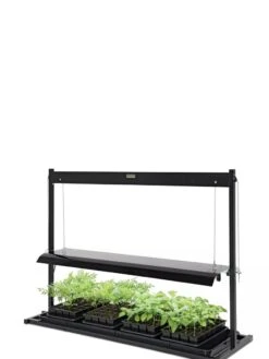 LED SunLite® Tabletop Garden -Outdoor Garden Store 8595552 10125 tif
