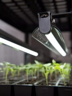 LED Stack-n-Grow Lights - Base Unit -Outdoor Garden Store 8595770 7346 tif