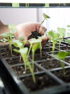 LED Stack-n-Grow Lights - Base Unit -Outdoor Garden Store 8595770 7373 tif