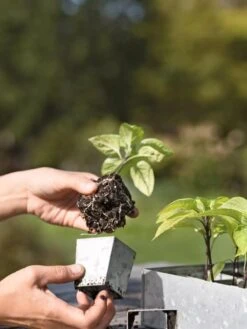 Galvanized Seed Starting Tray -Outdoor Garden Store 8595893 4378 tif