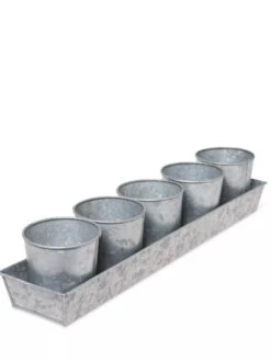 Galvanized Herb Planters With Rectangular Tray 9 Galvanized Herb Planters With Rectangular Tray -Outdoor Garden Store 8595903 3924 tif