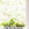 Galvanized Herb Planters With Rectangular Tray -Outdoor Garden Store 8595903 5946 tif