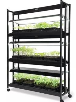 LED SunLite® High Intensity 3-Tier Garden 10 LED SunLite® High Intensity 3-Tier Garden -Outdoor Garden Store 8596024 10201 tif