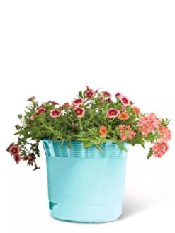 Eezy Gro Self-Watering Planters 14 Eezy Gro Self-Watering Planters -Outdoor Garden Store 8596426 103 tif