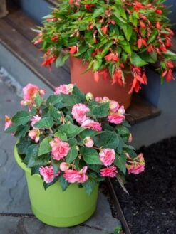 Eezy Gro Self-Watering Planters 11 Eezy Gro Self-Watering Planters -Outdoor Garden Store 8596427 0034 tif