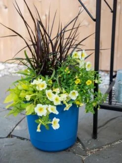 Eezy Gro Self-Watering Planters 10 Eezy Gro Self-Watering Planters -Outdoor Garden Store 8596427 0035 tif