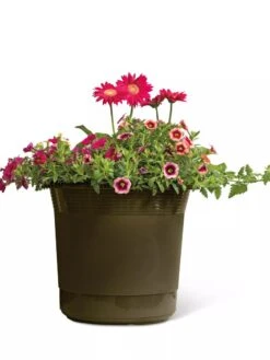Eezy Gro Self-Watering Planters 12 Eezy Gro Self-Watering Planters -Outdoor Garden Store 8596427 108 tif