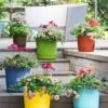 Eezy Gro Self-Watering Planters 1 Eezy Gro Self-Watering Planters -Outdoor Garden Store 8596427 5498 tif