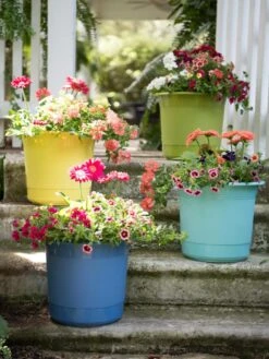 Eezy Gro Self-Watering Planters 13 Eezy Gro Self-Watering Planters -Outdoor Garden Store 8596427 8090 tif