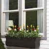 Valencia Window Box, 3' 2 Valencia Window Box, 3' -Outdoor Garden Store 8596436 7496 tif