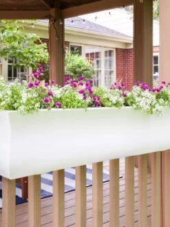 Valencia Window Box, 4' 11 Valencia Window Box, 4' -Outdoor Garden Store 8596437 006V tif