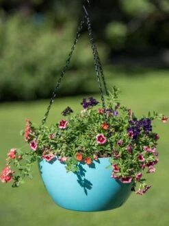 Viva Self-Watering Hanging Basket, 14" Diameter -Outdoor Garden Store 8596442 0859 tif