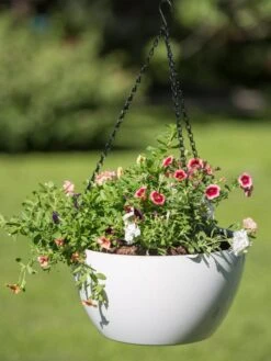 Viva Self-Watering Hanging Basket, 14" Diameter -Outdoor Garden Store 8596442 0864 tif