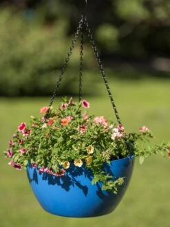 Viva Self-Watering Hanging Basket, 14" Diameter -Outdoor Garden Store 8596442 0876 tif