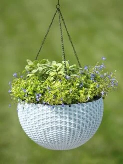Weave Self-Watering Hanging Basket, 14" 7 Weave Self-Watering Hanging Basket, 14" -Outdoor Garden Store 8596490 10307 tif