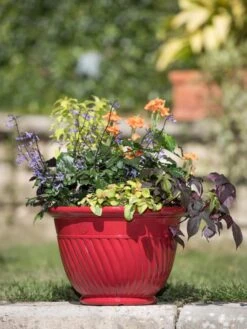 Mazzano Self-Watering Planters 13 Mazzano Self-Watering Planters -Outdoor Garden Store 8596564 4883 tif
