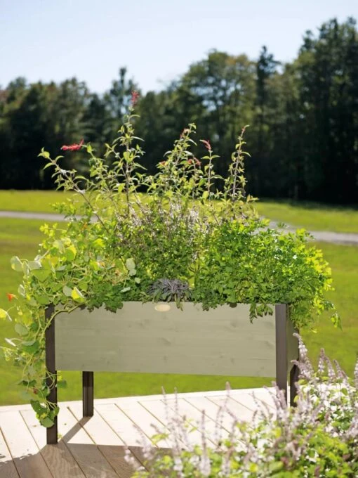 Eco-Stained Elevated Planter Box, 2'x4' -Outdoor Garden Store 8596759 3832 colorwash elevated cedar planter box 2x4 tif