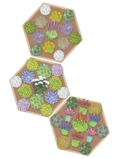 Pollinator Garden Bed 8 Pollinator Garden Bed -Outdoor Garden Store 8597000 Hummingbird Plan tif