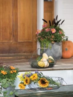 Galvanized Rim Planters -Outdoor Garden Store 8597379 1625 tif