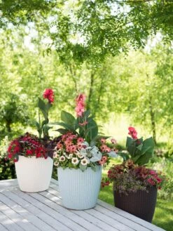 Weave Self-Watering Round Planter, 14" 6 Weave Self-Watering Round Planter, 14" -Outdoor Garden Store 8597388 2141 tif