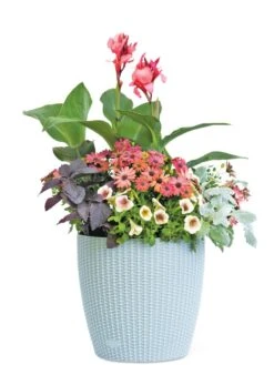 Weave Self-Watering Round Planter, 14" 7 Weave Self-Watering Round Planter, 14" -Outdoor Garden Store 8597388 2175 tif
