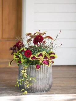 Galvanized Ribbed Planters -Outdoor Garden Store 8597435 1693 tif