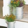 Galvanized Rim Planters -Outdoor Garden Store 8597442 1700 tif