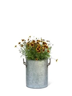 Galvanized Rim Planters -Outdoor Garden Store 8597442 1705 tif