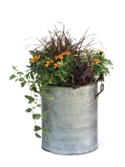 Galvanized Rim Planters -Outdoor Garden Store 8597443 1704 tif