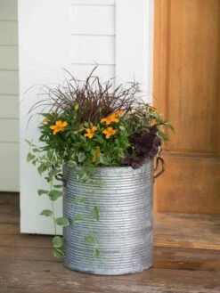 Galvanized Rim Planters -Outdoor Garden Store 8597443 1708 tif