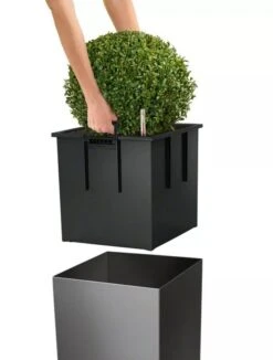 Lechuza® Cube Premium Planters 10 Lechuza® Cube Premium Planters -Outdoor Garden Store 8597506 04V tif