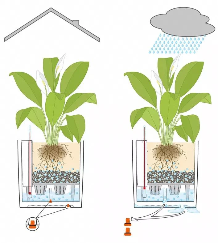 Lechuza® Cube Premium Planters 7 Lechuza® Cube Premium Planters - Image 5