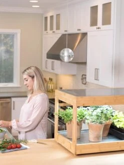 Low Bamboo LED Grow Light Garden 24 Low Bamboo LED Grow Light Garden -Outdoor Garden Store 8597720 0816 tif