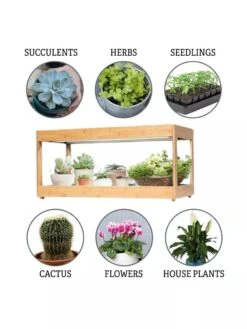 Low Bamboo LED Grow Light Garden 19 Low Bamboo LED Grow Light Garden -Outdoor Garden Store 8597720 3