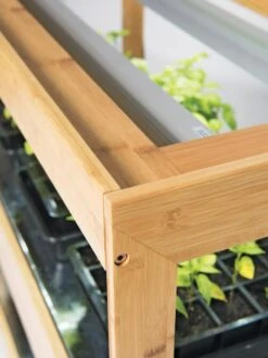 Bamboo LED Grow Light Garden For Succulents And Seeds 17 Bamboo LED Grow Light Garden For Succulents And Seeds -Outdoor Garden Store 8597720 7795 tif 1