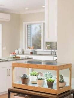 Low Bamboo LED Grow Light Garden 23 Low Bamboo LED Grow Light Garden -Outdoor Garden Store 8597720 9385 tif