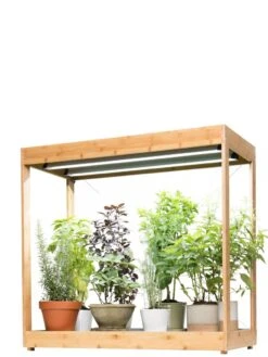 Medium Bamboo LED Grow Light Garden 27 Medium Bamboo LED Grow Light Garden -Outdoor Garden Store 8597883 1011 tif