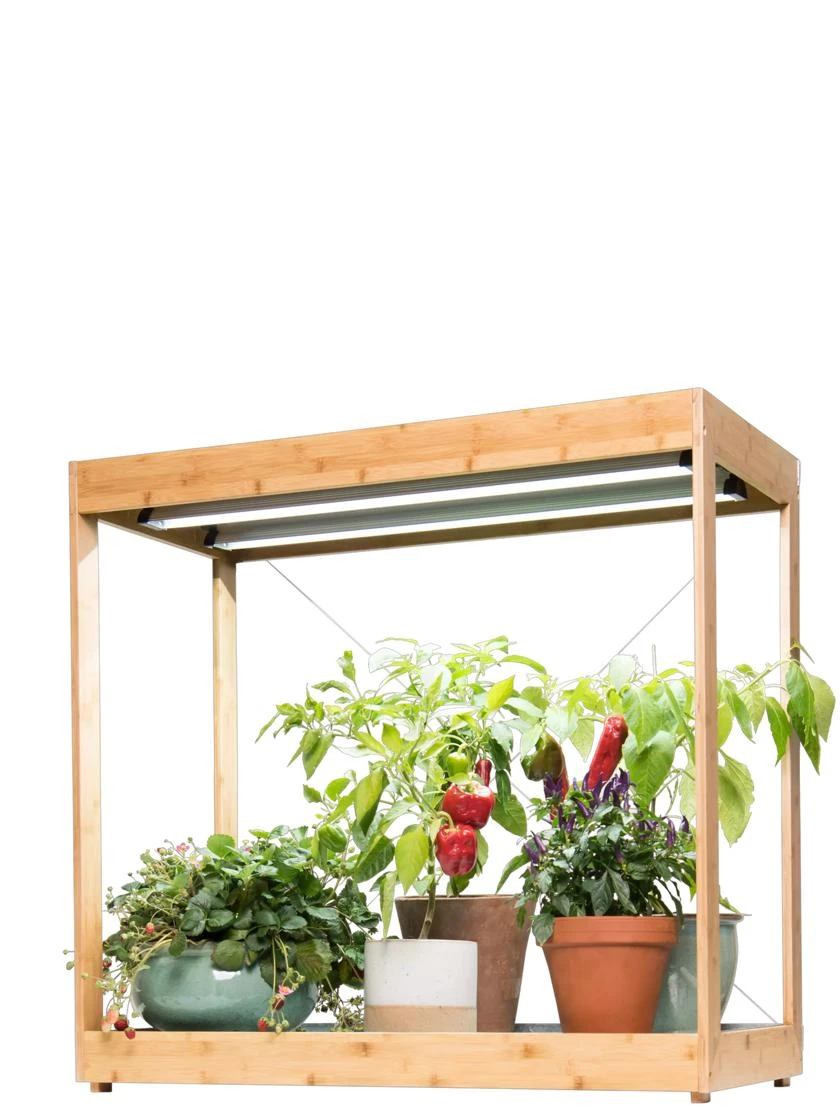 Medium Bamboo LED Grow Light Garden 13 Medium Bamboo LED Grow Light Garden - Image 11