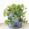 Stacking Strawberry Pot -Outdoor Garden Store 8597996 9004 tif
