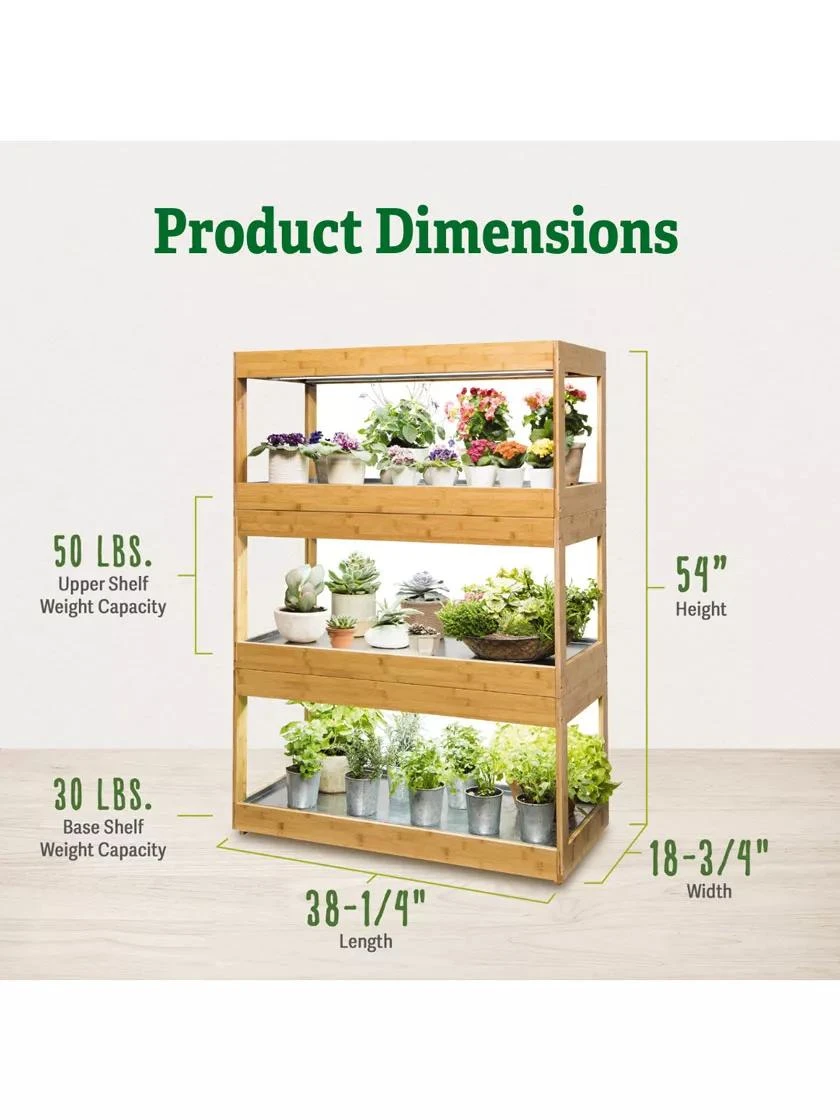 Bamboo LED Grow Light Garden For Succulents And Seeds 4 Bamboo LED Grow Light Garden For Succulents And Seeds - Image 2