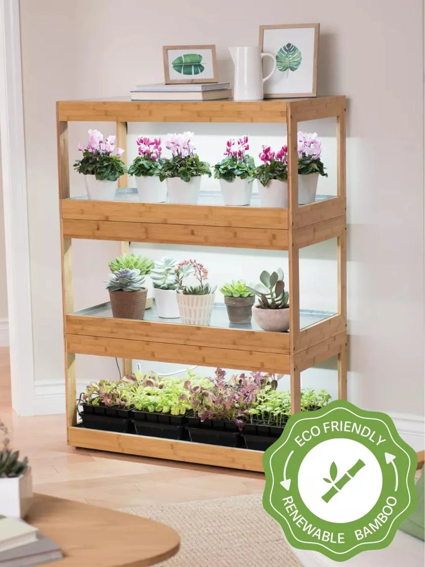 Bamboo LED Grow Light Garden For Succulents And Seeds 3 Bamboo LED Grow Light Garden For Succulents And Seeds