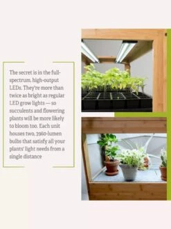 Bamboo LED Grow Light Garden For Succulents And Seeds 22 Bamboo LED Grow Light Garden For Succulents And Seeds -Outdoor Garden Store 8598084 7