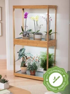 New Release 15 Bamboo Display LED Grow Light Garden
